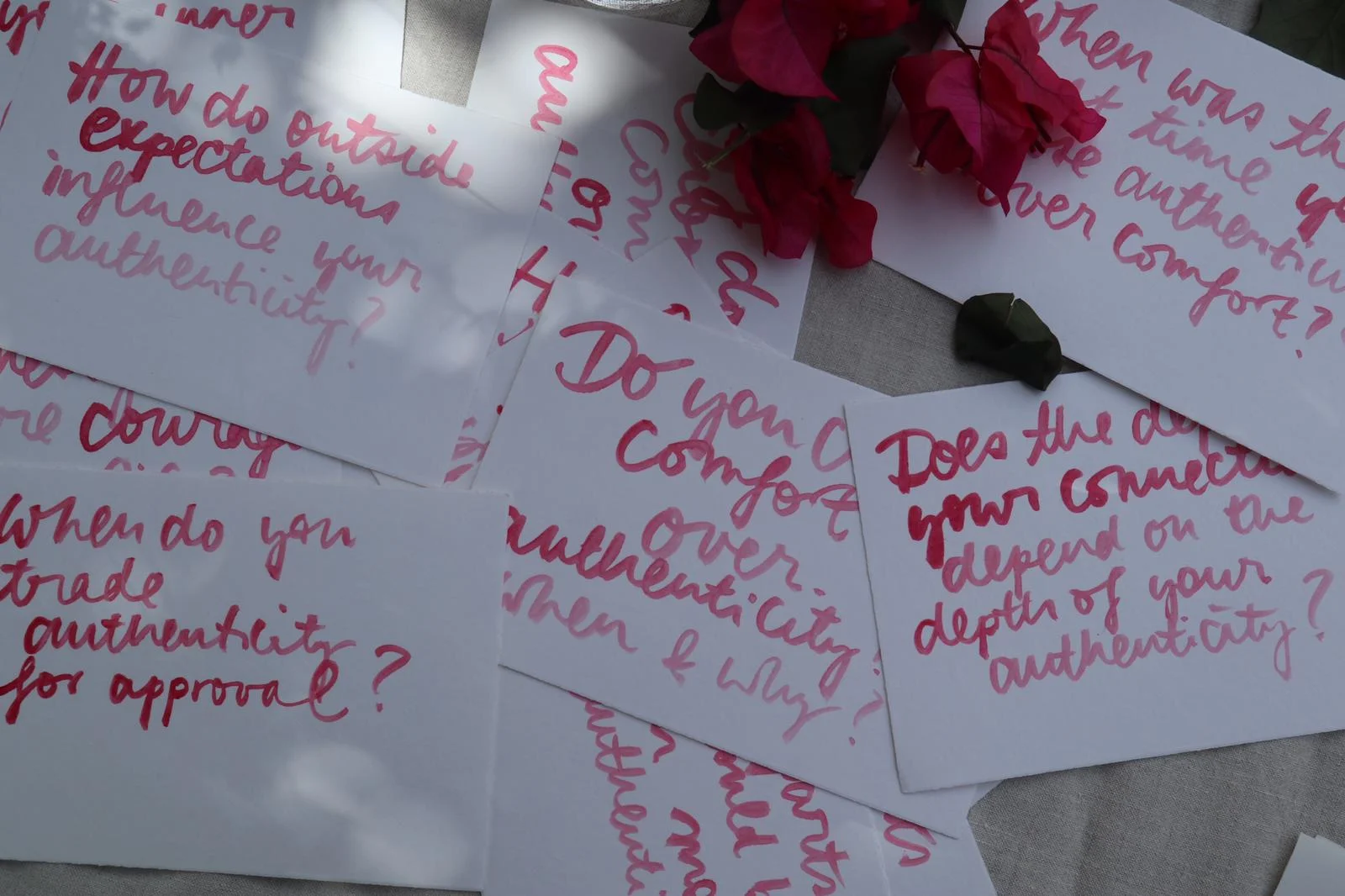 Stephanie Fehr - Bild 4