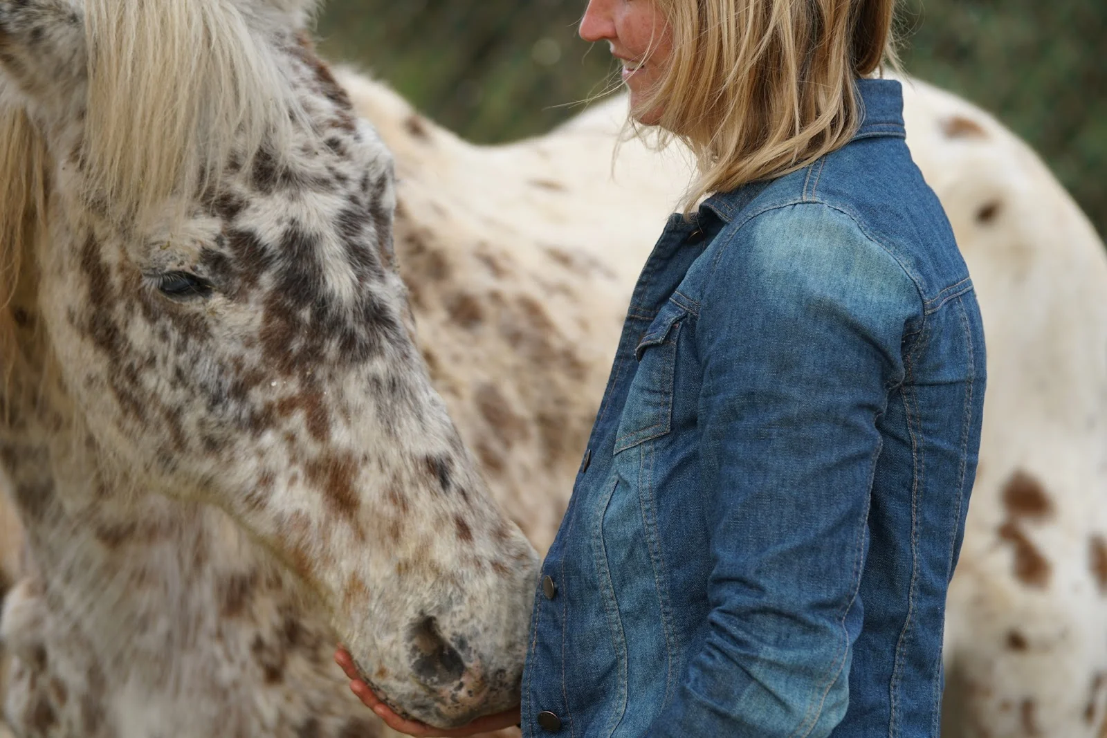 Stephanie Fehr - Bild 6