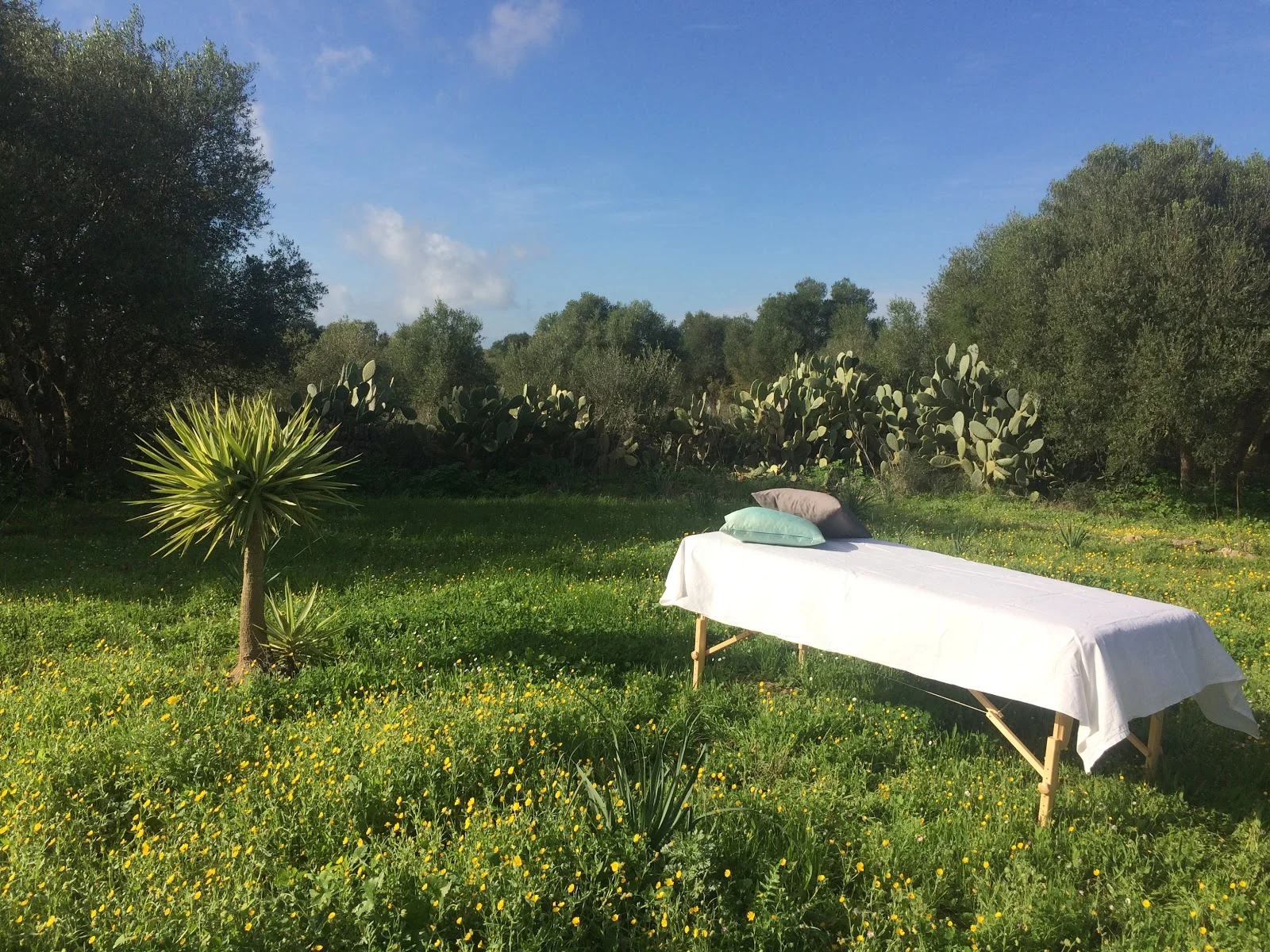 Mangala Massage Mallorca - Bild 1