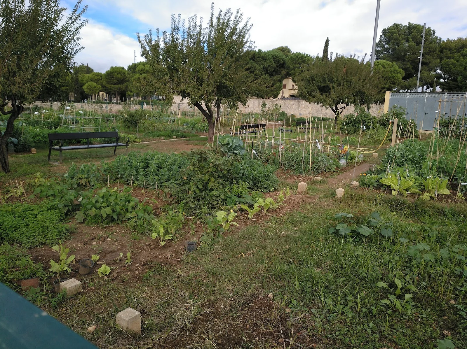 Parc de Sa Riera - Bild 4