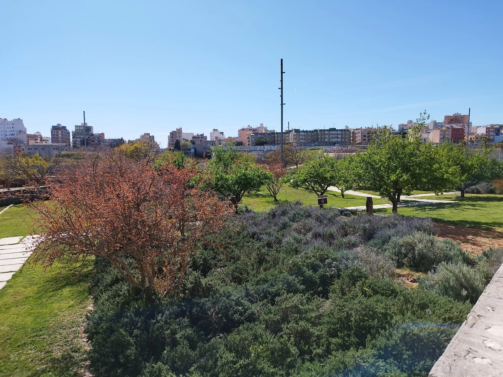 Parc de Sa Riera - Bild 9