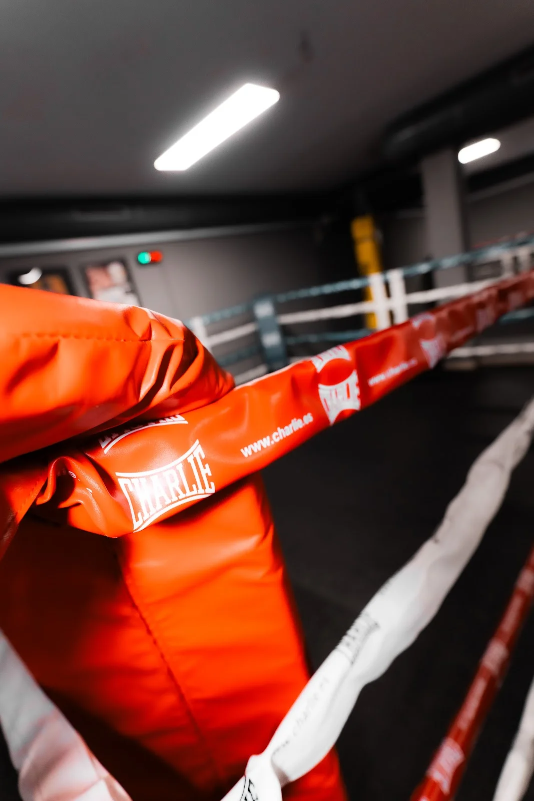 Workout Center - Bild 5