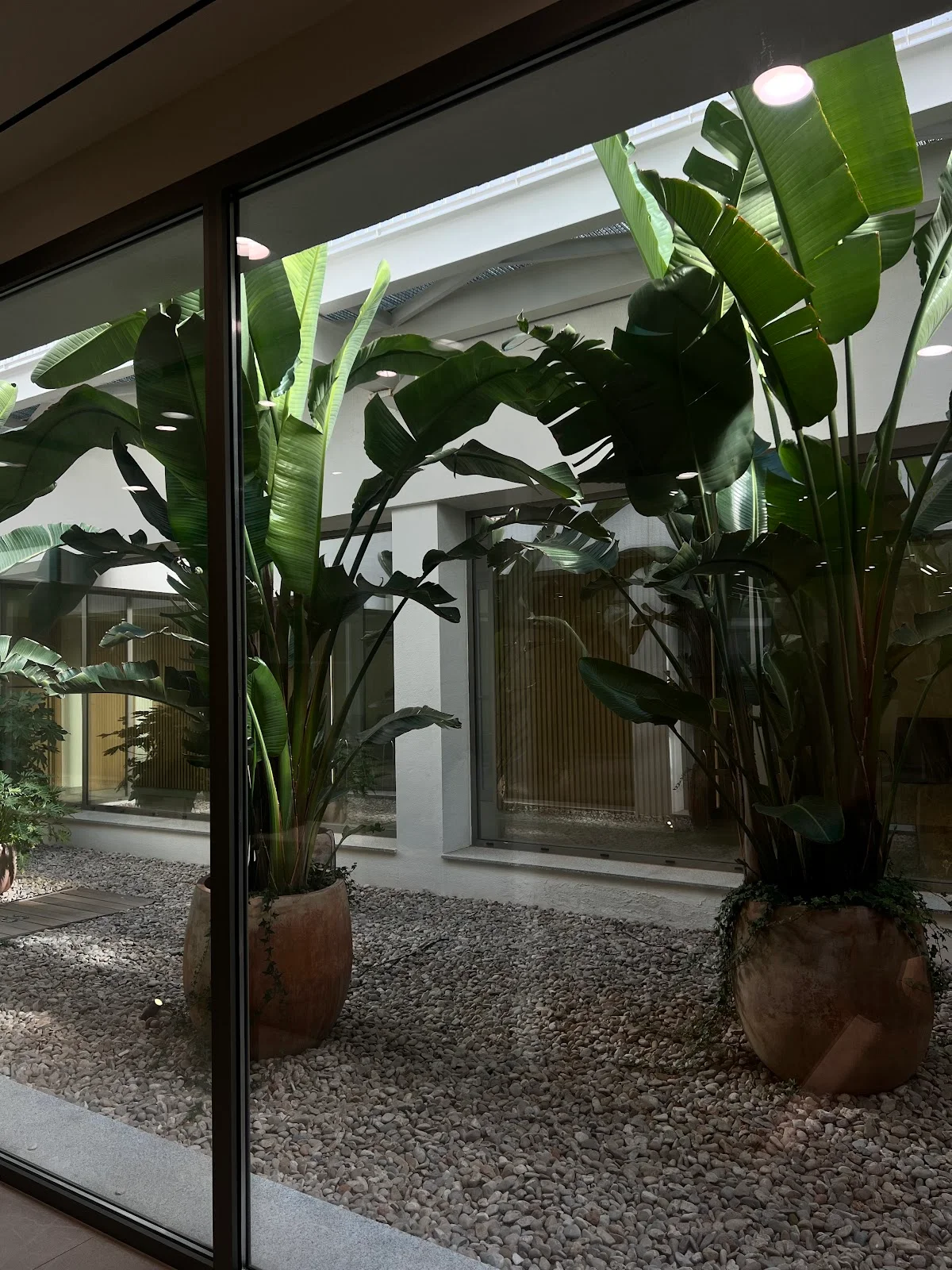 Instituto Rubí Palma de Mallorca - Bild 6