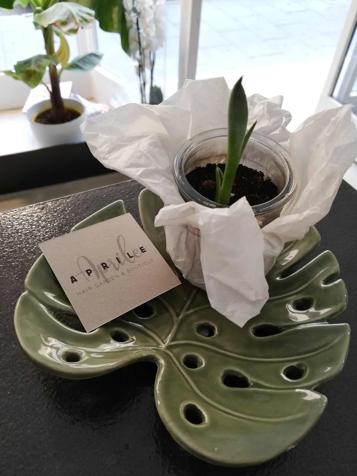 Aprile - Hair Garden & Boutique - Bild 6