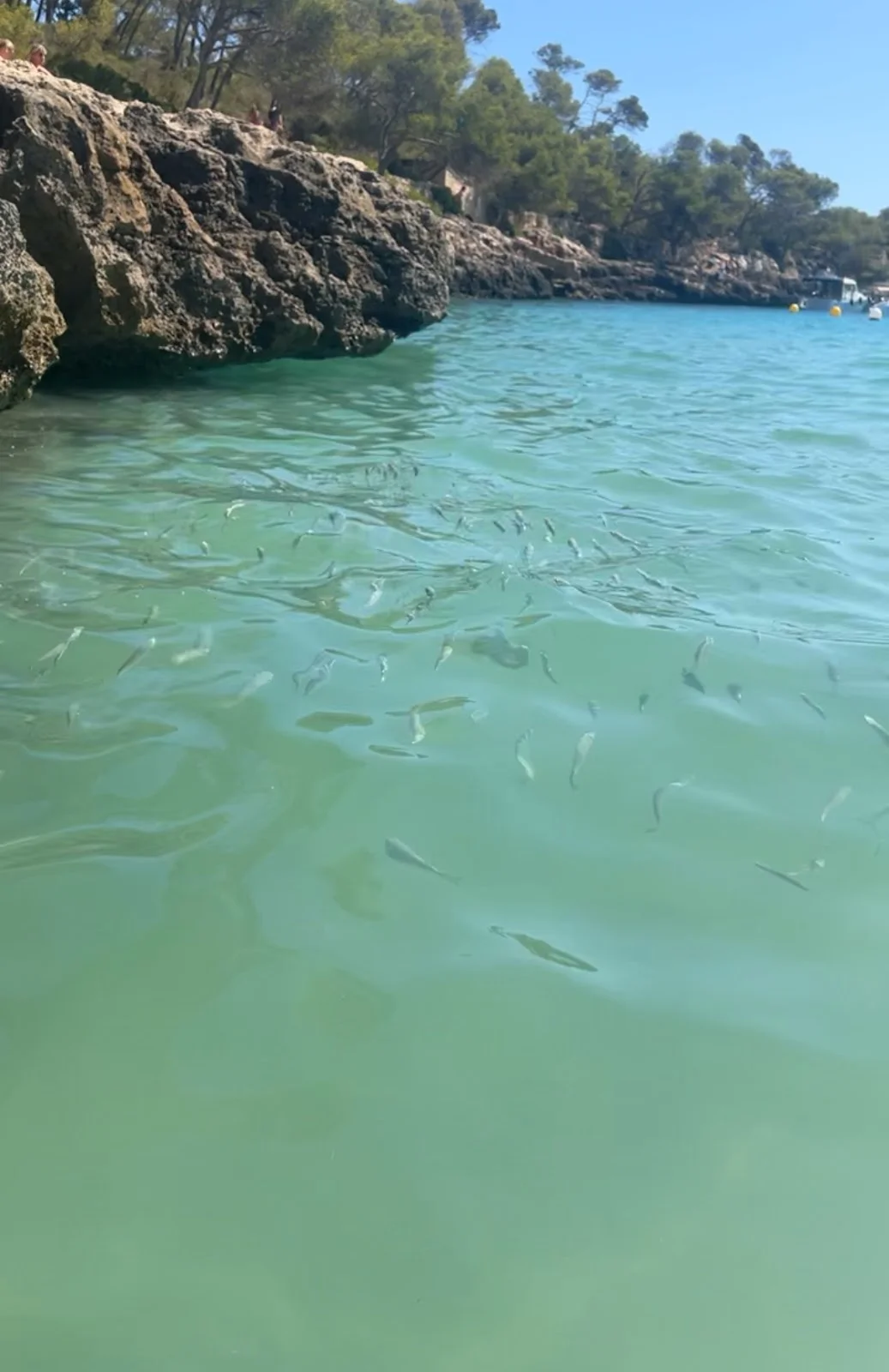 Caló des Borgit - Bild 8