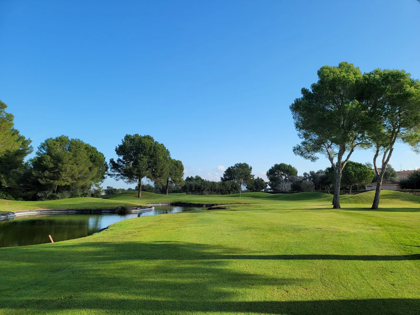 Golf Son Antem - Bild 3