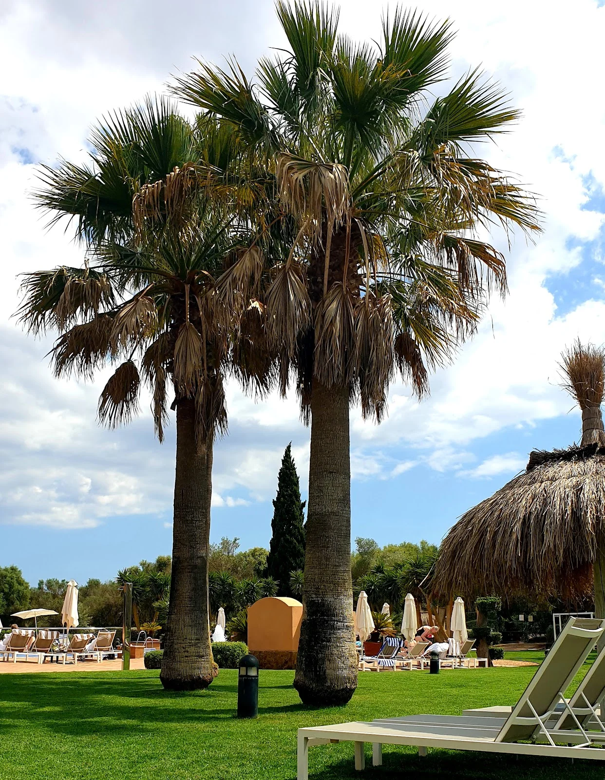 Golf Son Antem - Bild 4