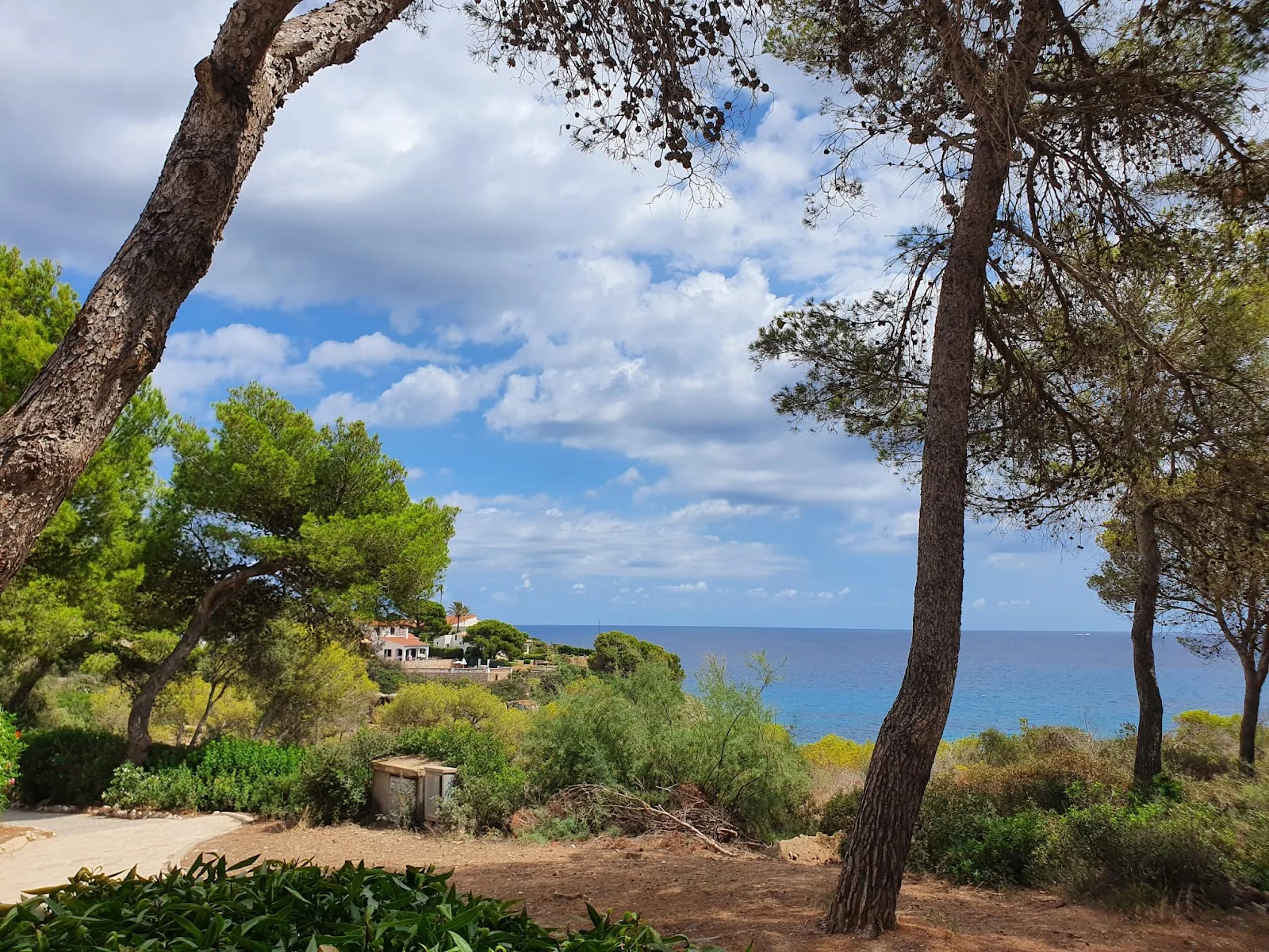 Cala Anguila Beach Restaurant & Cocktails - Bild 10