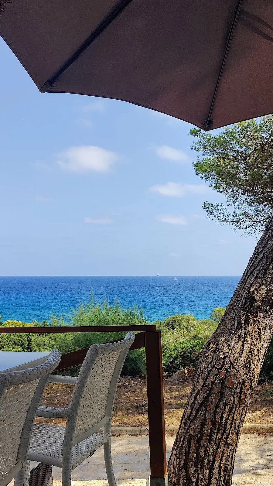 Cala Anguila Beach Restaurant & Cocktails - Bild 8