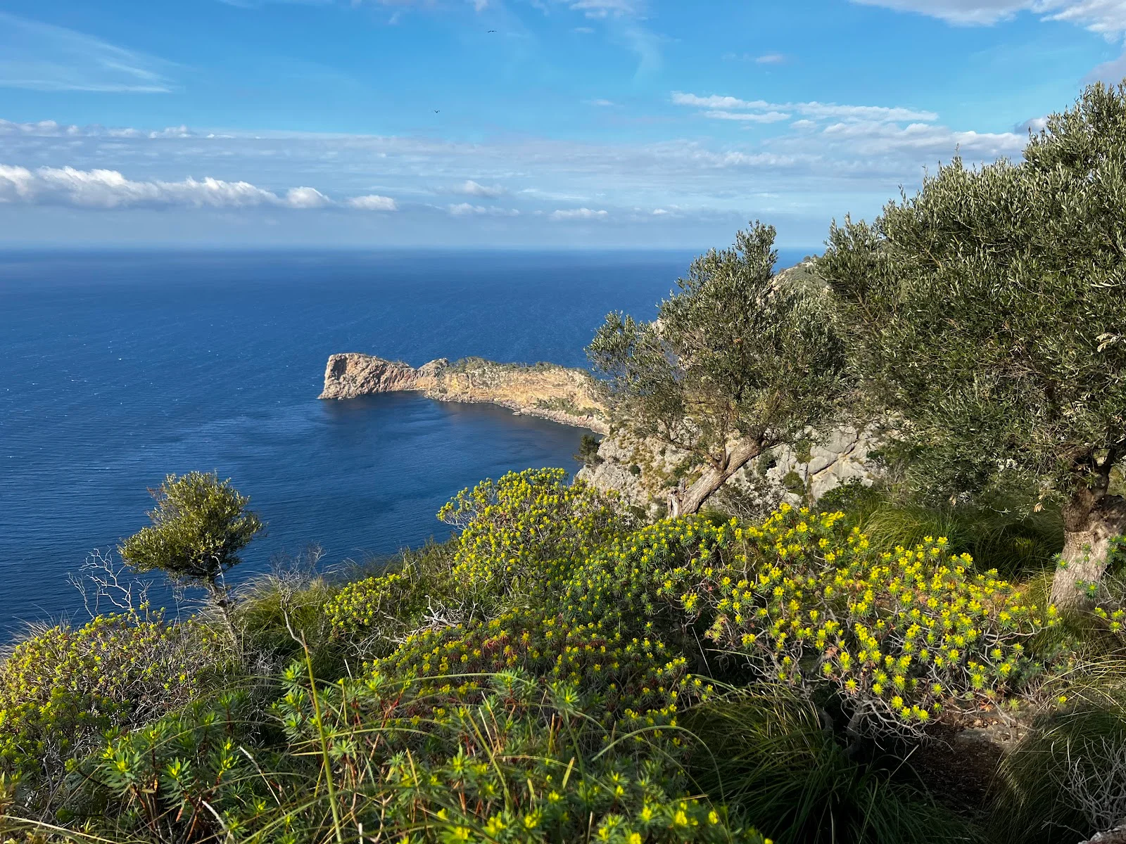 Monestir de Miramar - Bild 3