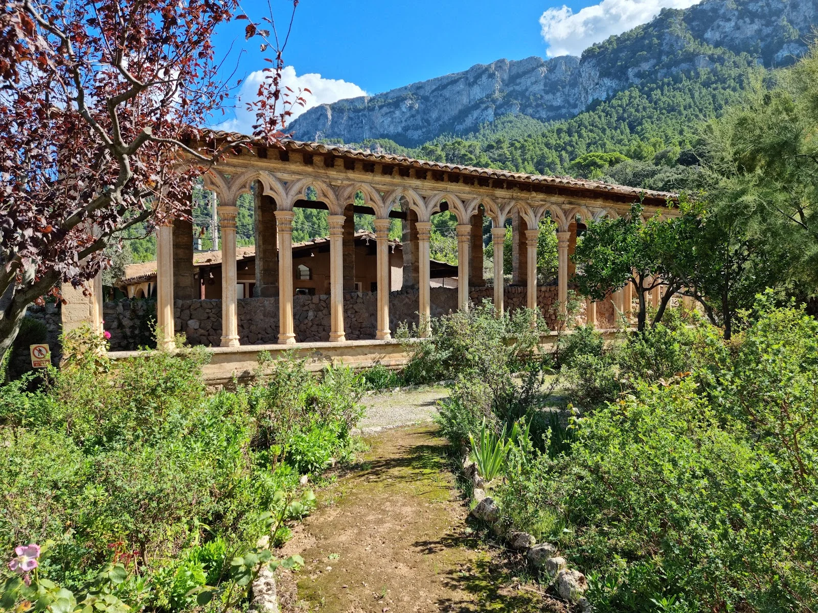 Monestir de Miramar - Bild 4