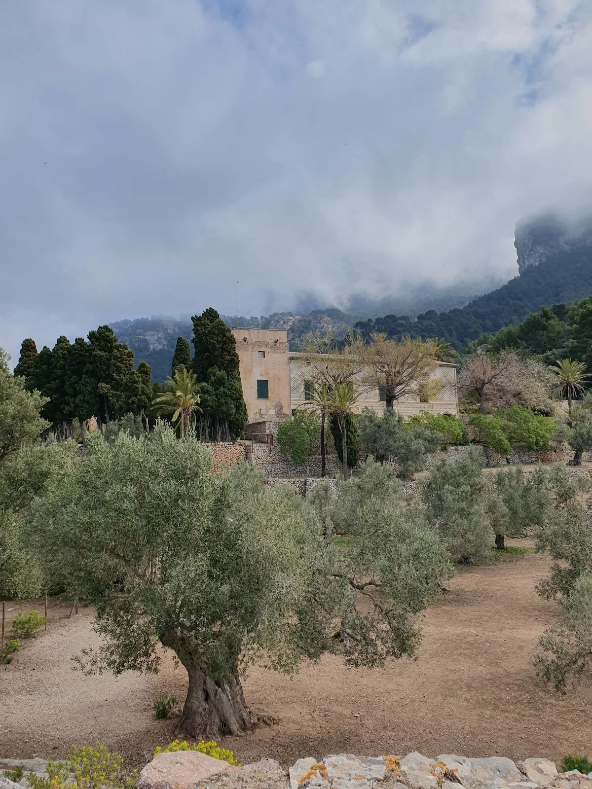 Monestir de Miramar - Bild 8