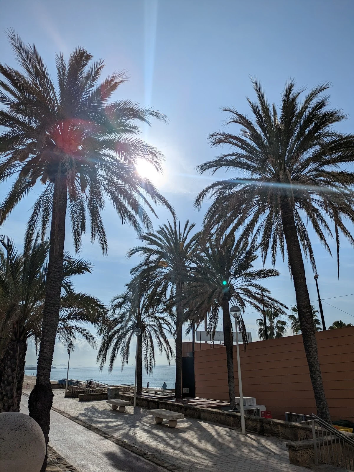 Anima Beach Palma - Bild 9