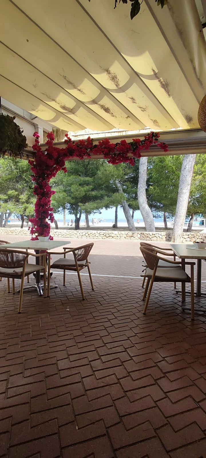 Paradise Beach - Bild 7