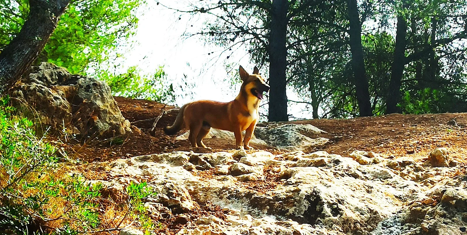 Pins Pádel Club - Bild 10