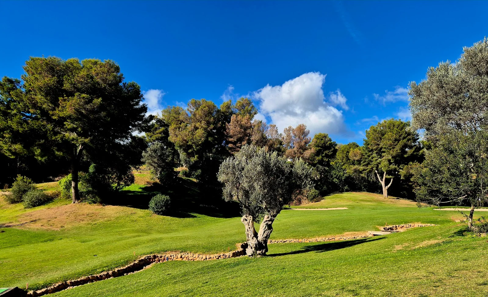 Real Golf de Bendinat - Bild 2