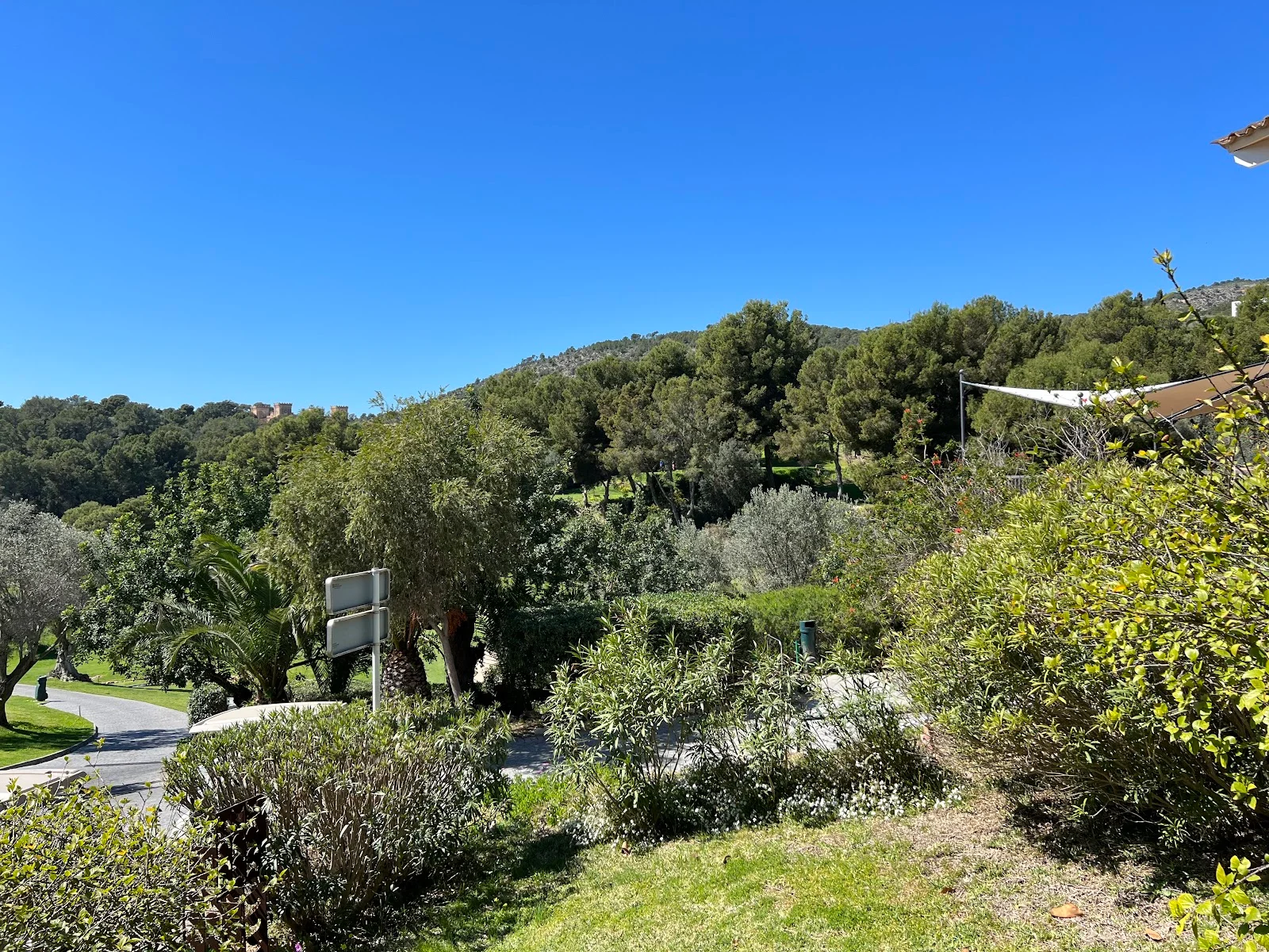 Real Golf de Bendinat - Bild 7