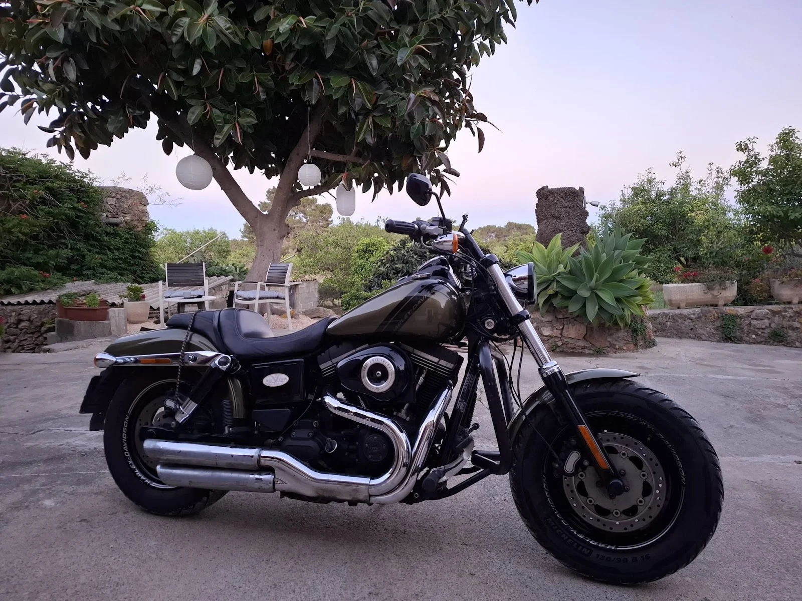 DaSi Bike Tour and Rent S.L. - Bild 3