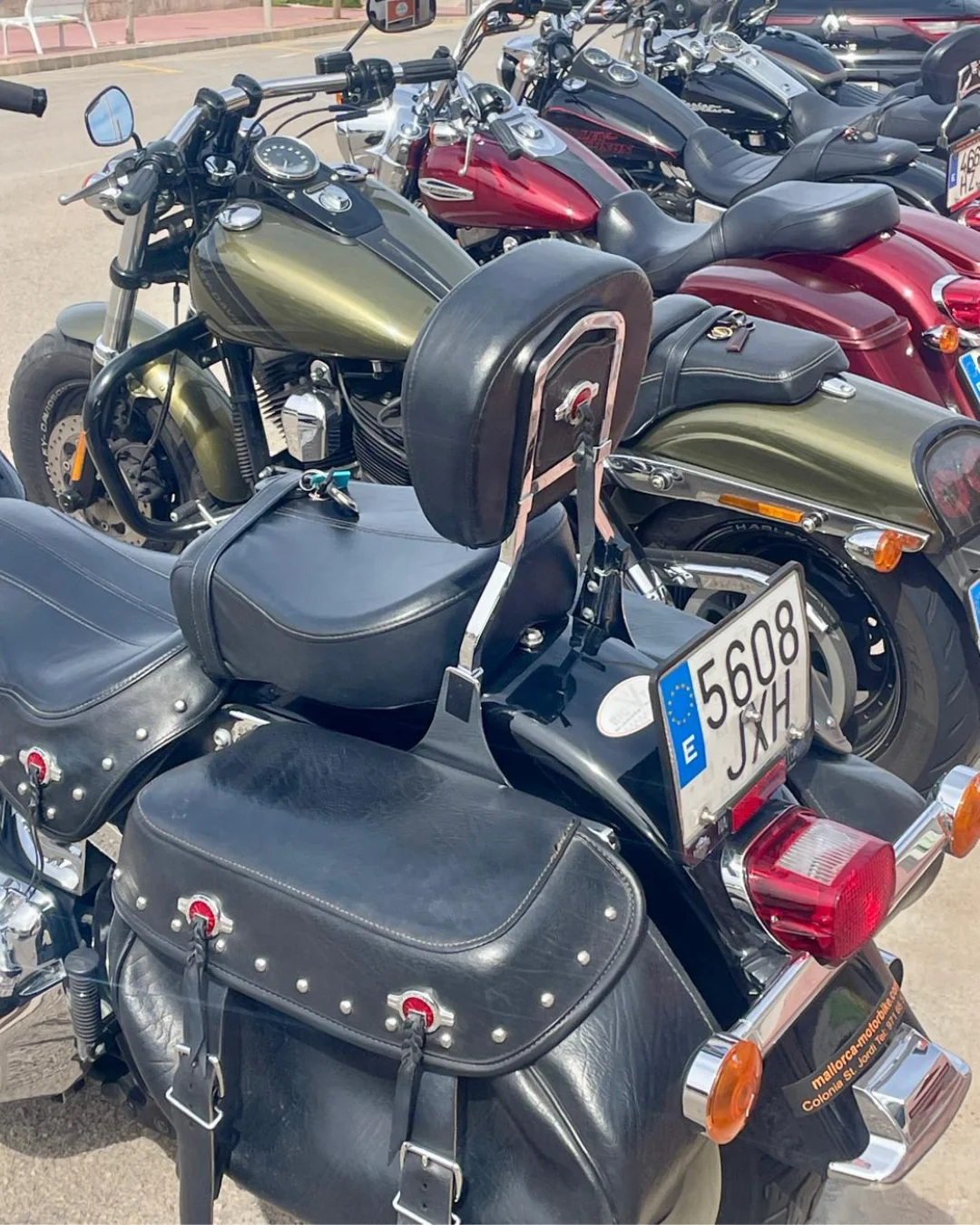 DaSi Bike Tour and Rent S.L. - Bild 4