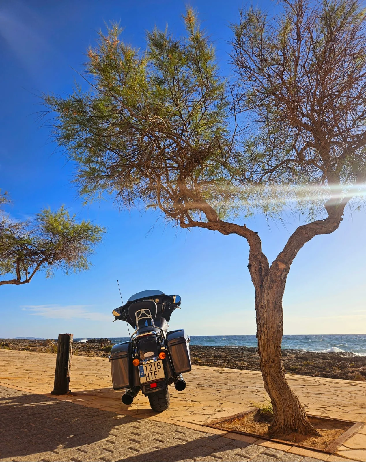 DaSi Bike Tour and Rent S.L. - Bild 8