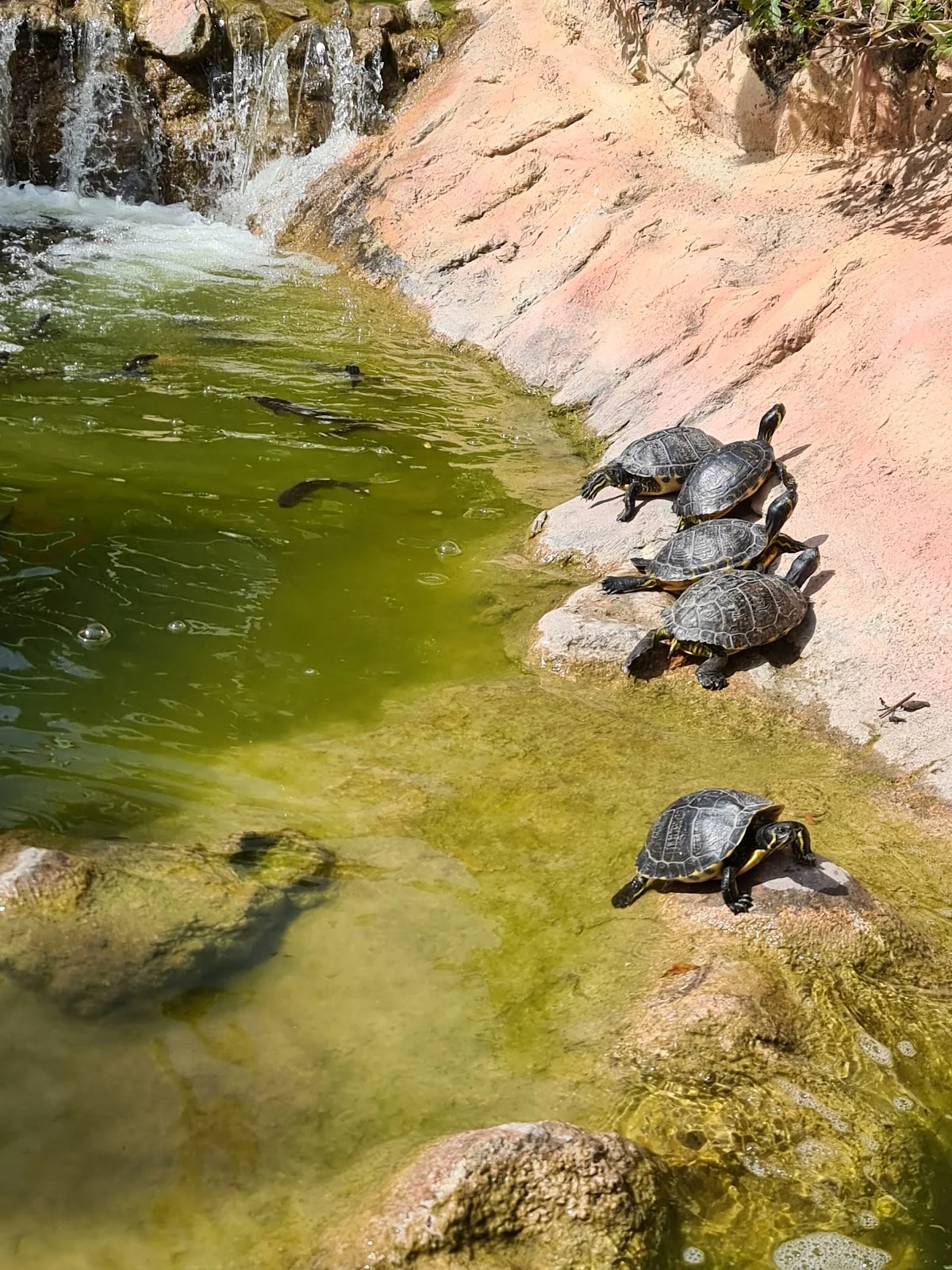 Golf Fantasia - Bild 7