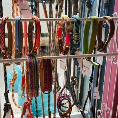 Barf Express - Bild 8