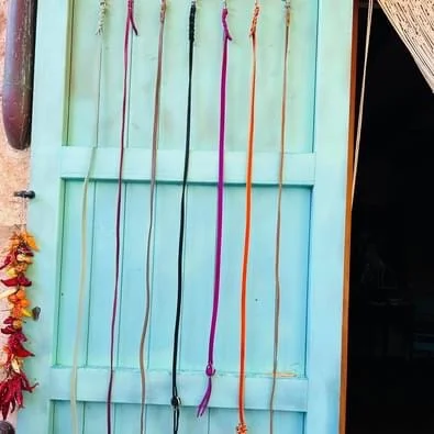 Barf Express - Bild 6