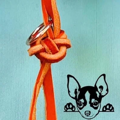 Barf Express - Bild 7