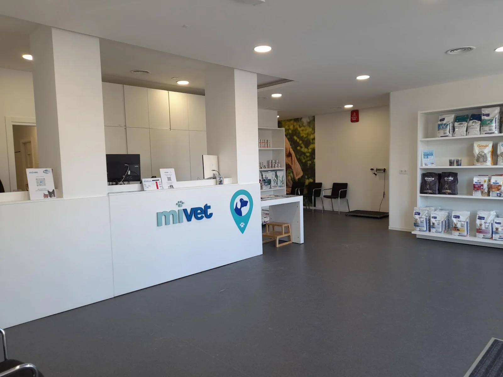 MiVet Hospital Veterinario - Bild 2