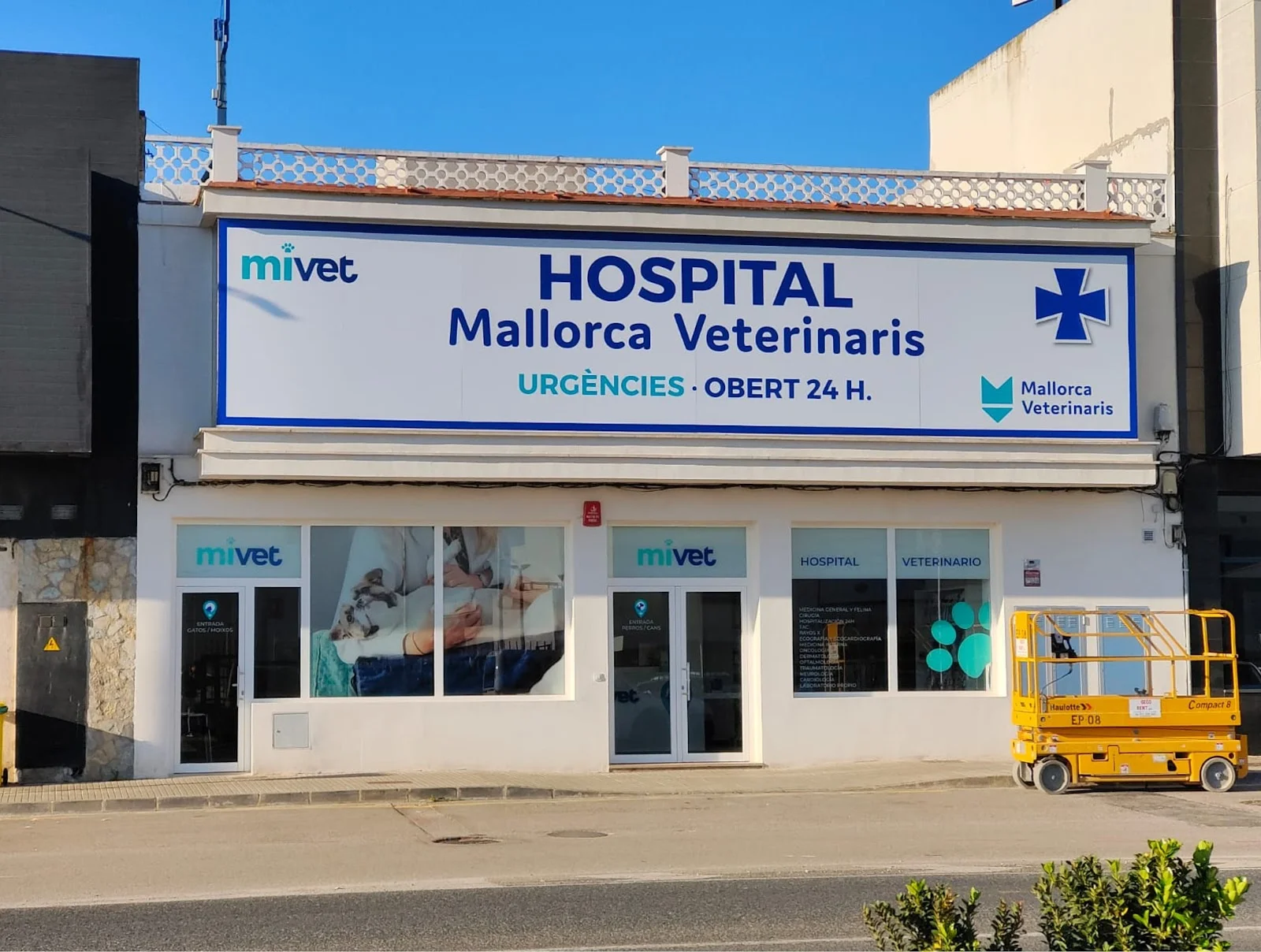 MiVet Hospital Veterinario - Bild 10