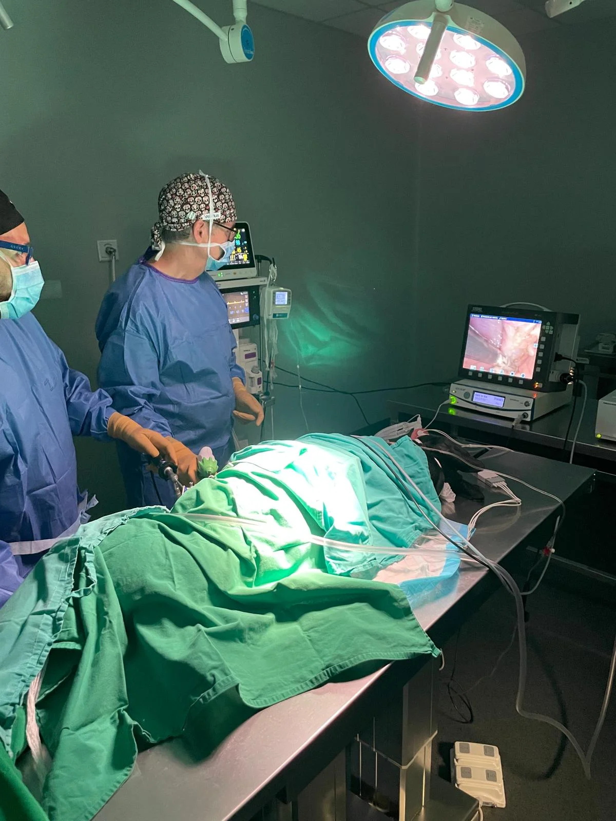 MiVet Hospital Veterinario - Bild 9