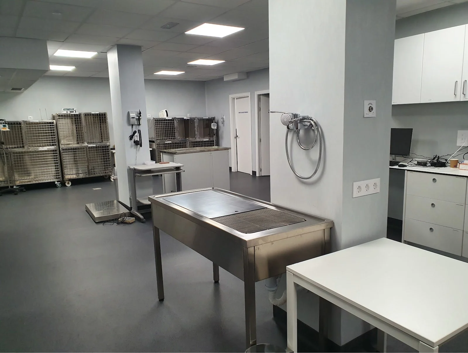 MiVet Hospital Veterinario - Bild 3