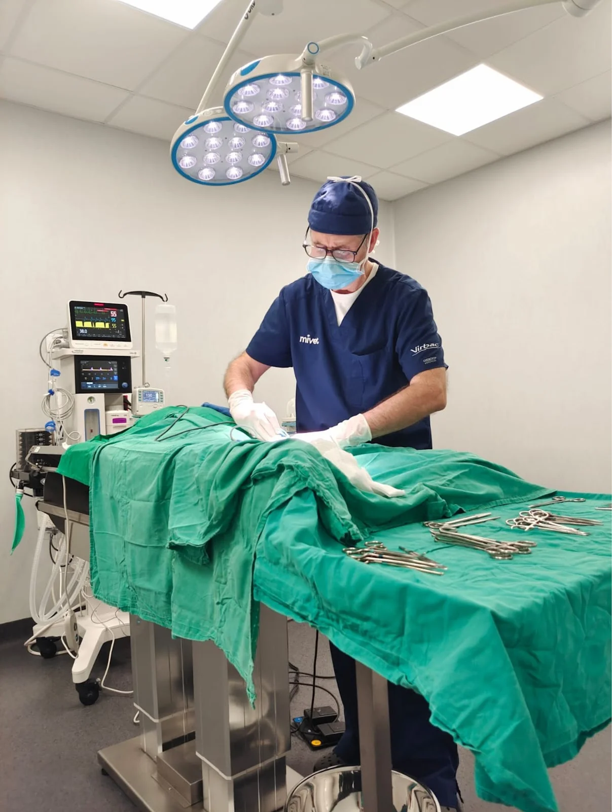 MiVet Hospital Veterinario - Bild 8