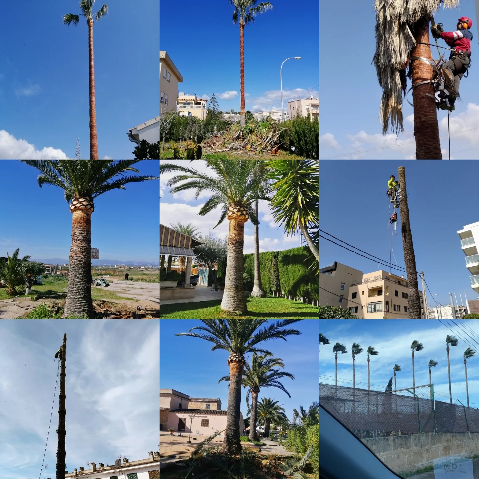 Aperelló jardines - Bild 2