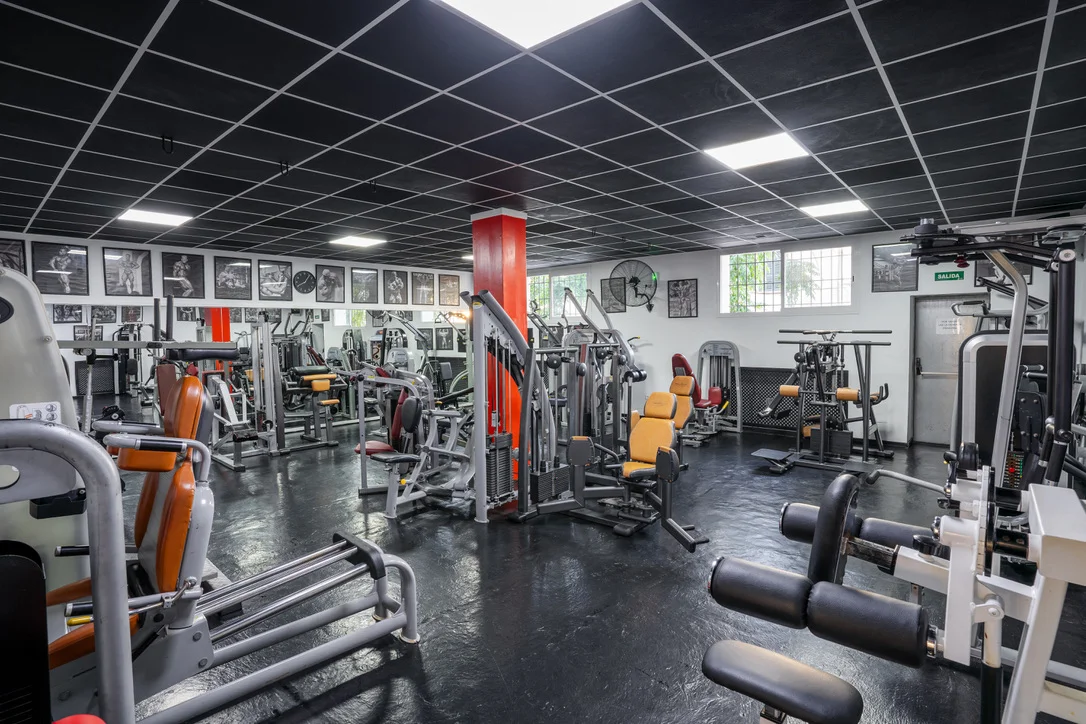 Profit Club - Bild 6