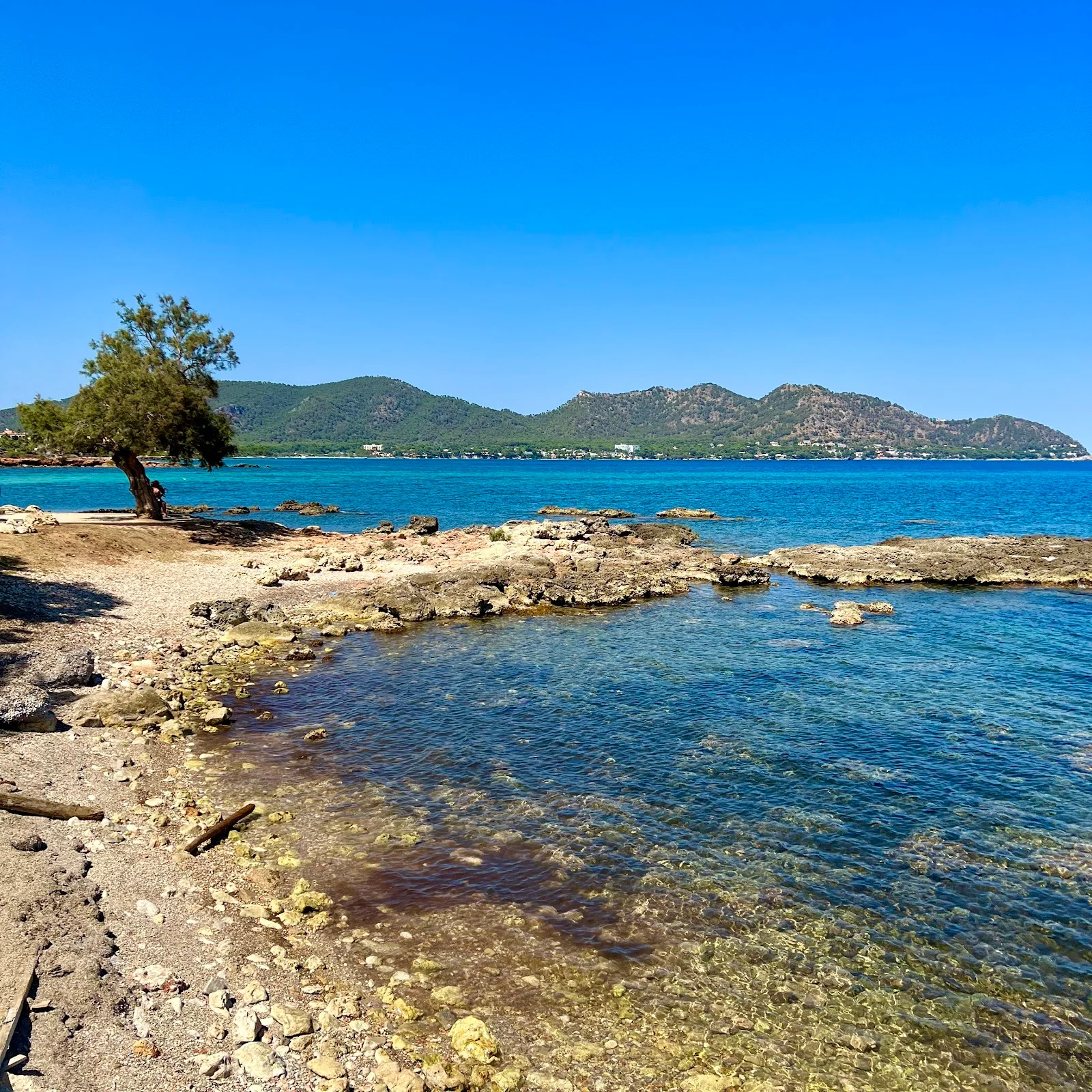 Port de Cala Bona - Bild 8