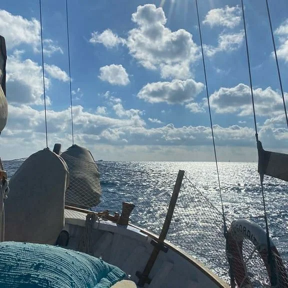 Boat Trip with Cata Simo - Bild 8