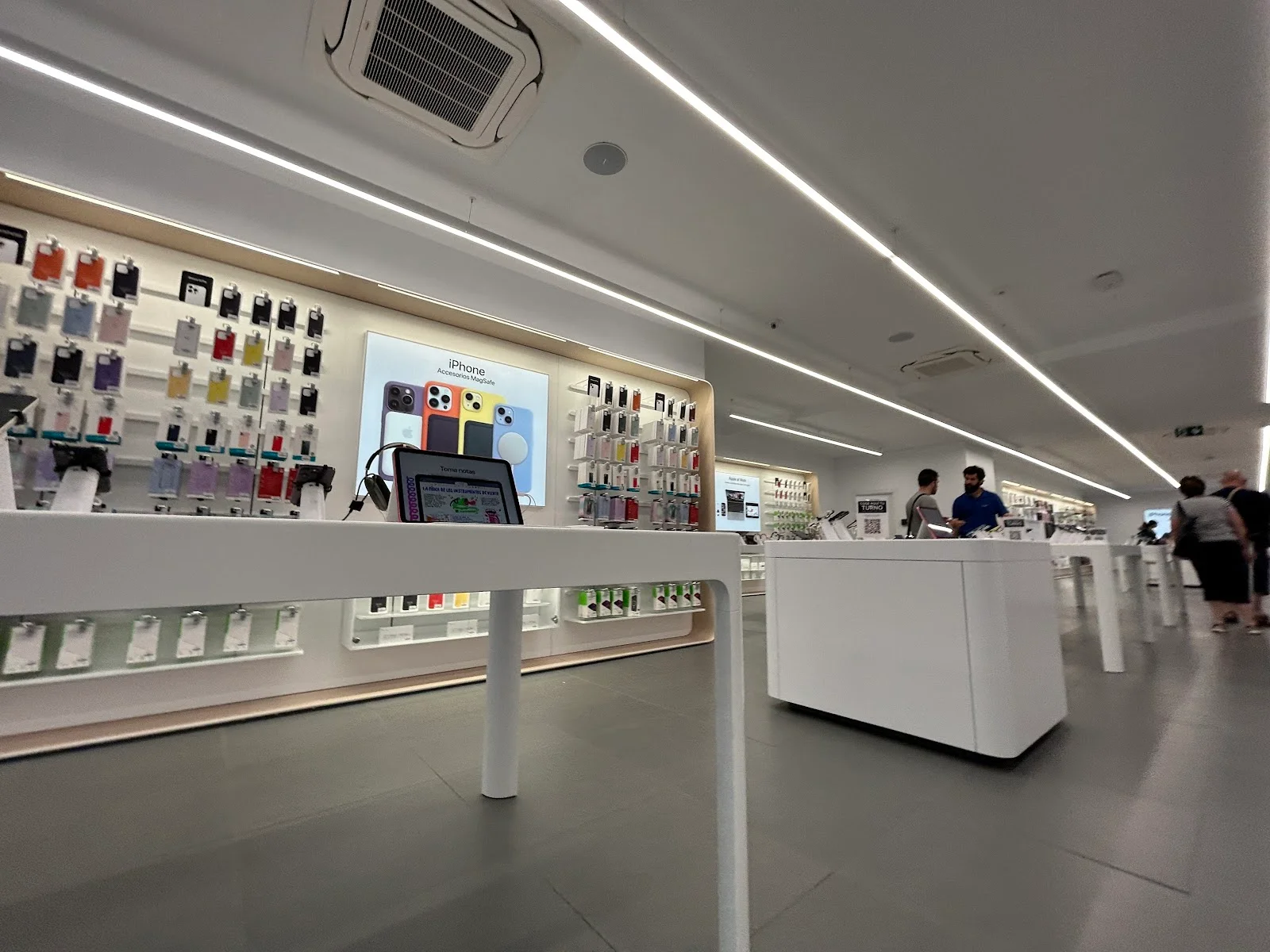 K-tuin Palma Sindicat - Bild 10