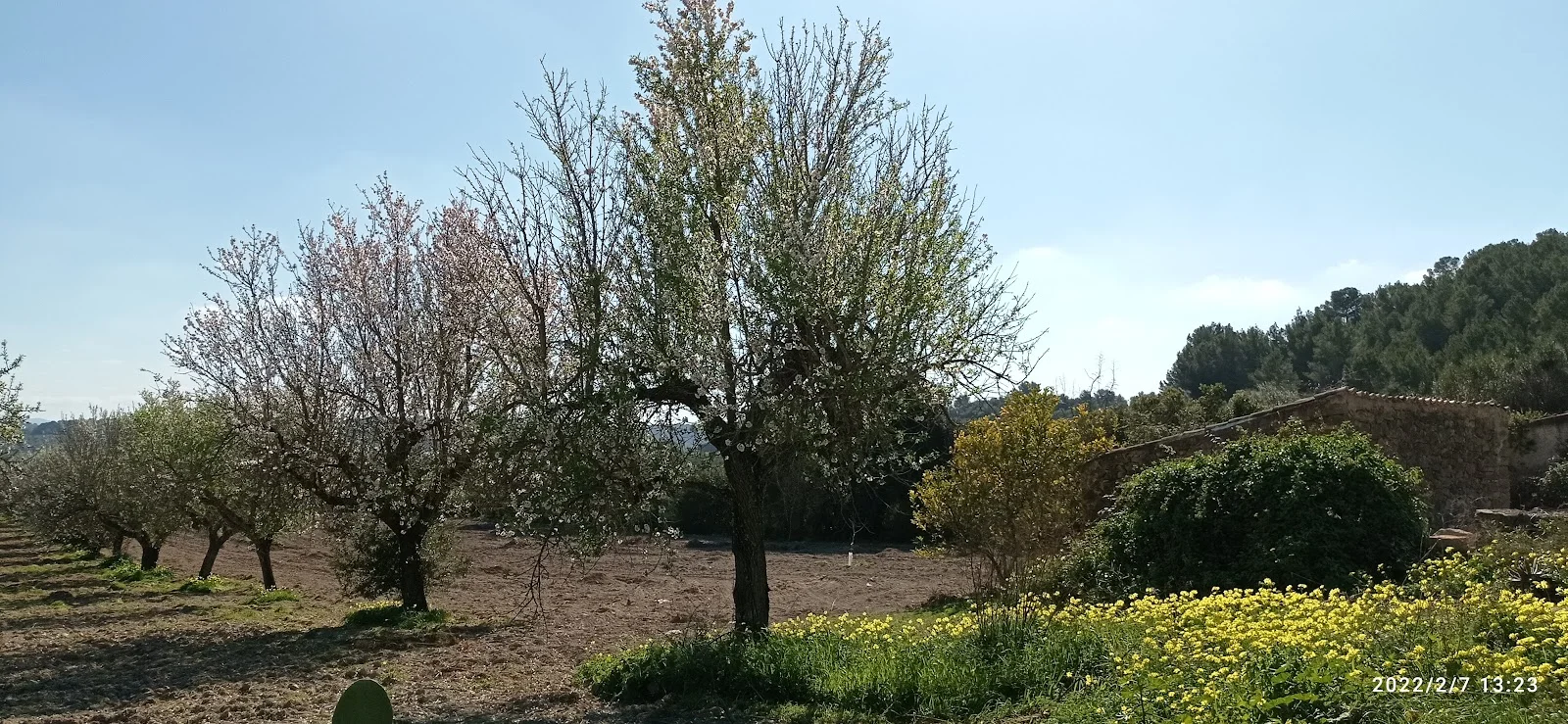 Parc Josep Maria Llompart - Bild 5