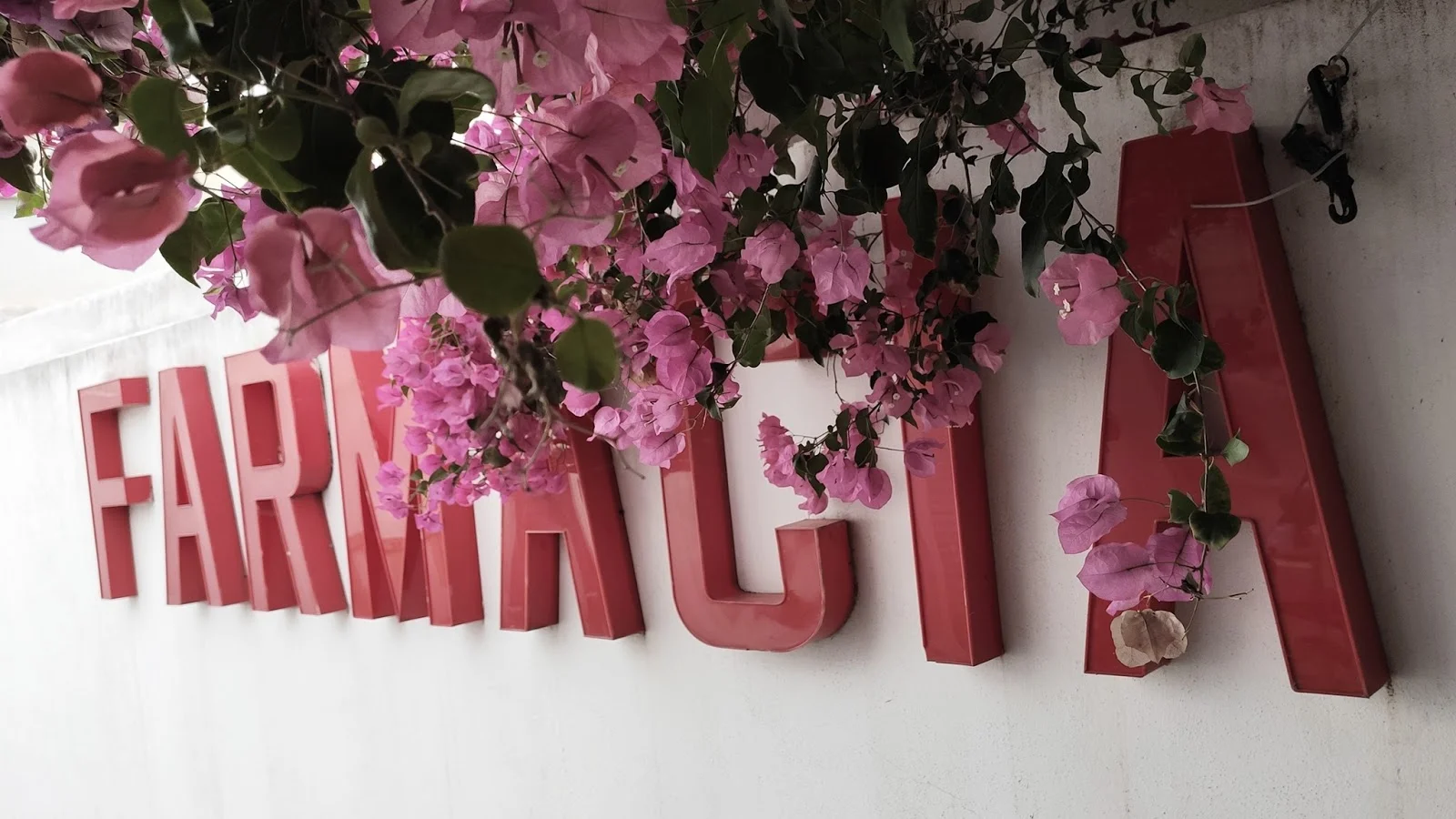 Farmàcia del Molinar - Bild 2